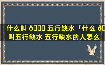 什么叫 🐝 五行缺水「什么 🐋 叫五行缺水 五行缺水的人怎么办」